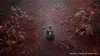 Silent Hill f Review — Terror in Bloom