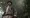 Indiana Jones and the Great Circle Review: Whips, Wit, and Wonders Await